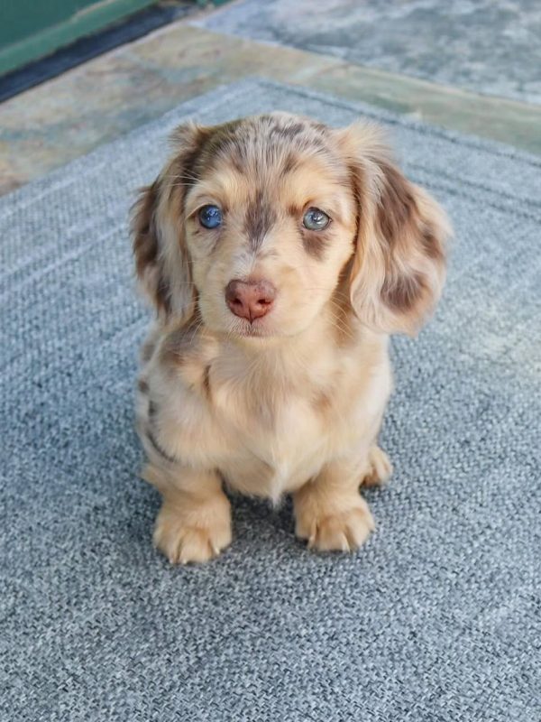 2f6eacef-e22b-49c2-9451-61b8b6f2763b