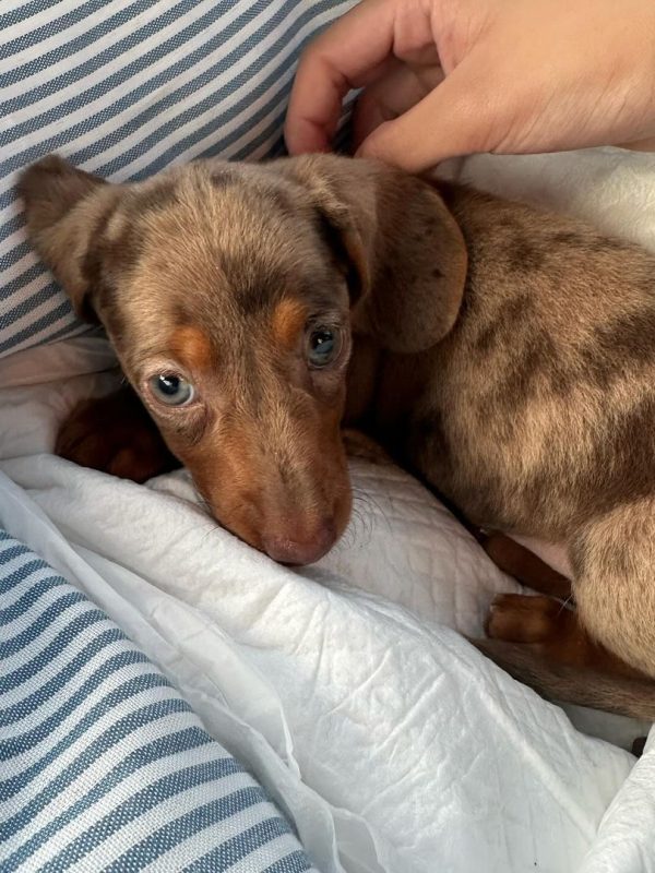 f90f69ad-049e-4e98-9544-c052a281bc30